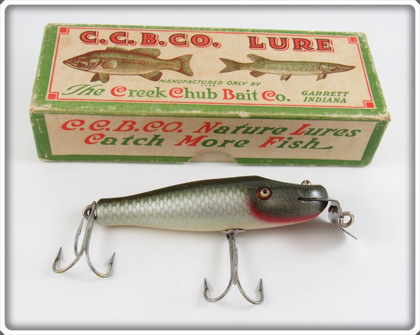 Vintage Creek Chub Silver Shiner Baby Pikie Lure In Box 903