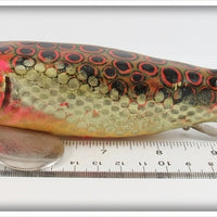 Bud Stewart Spotted Bullhead Decoy