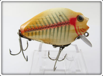 Heddon White Shore Wooden 740 Floater Punkinseed XRW
