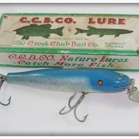 C.C.B. CO Creek Chub Blue Flash Husky Pikie In Box 2334