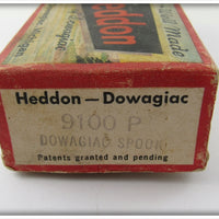 Heddon Shiner Scale Dowagiac Spook In Correct Box 9100 P
