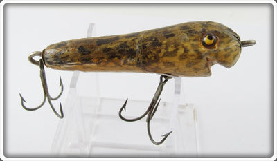 Eger Frog Skin Grass Frog