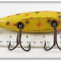 Creek Chub Uncatalogued Yellow Spotted Tack Eye Husky Injured Minnow 3514 Special