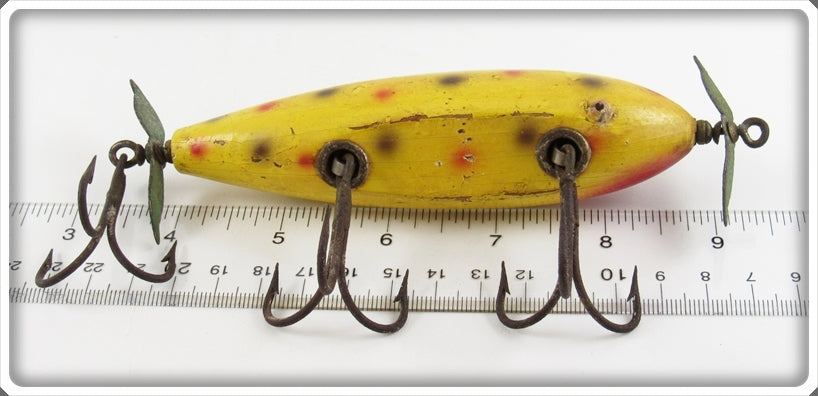 Creek Chub Uncatalogued Yellow Spotted Tack Eye Husky Injured Minnow 3514 Special
