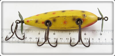 Creek Chub Uncatalogued Yellow Spotted Tack Eye Husky Injured Minnow 3514 Special