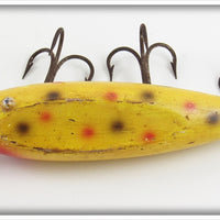 Creek Chub Uncatalogued Yellow Spotted Tack Eye Husky Injured Minnow 3514 Special