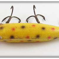 Creek Chub Uncatalogued Yellow Spotted Tack Eye Husky Injured Minnow 3514 Special