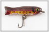 Vintage Unknown Trout Finish Fly Rod Minnow Lure