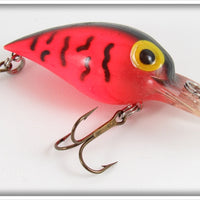 Storm Pre-Rapala Red Crawfish Wiggle Wart