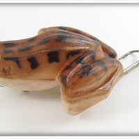 FS Burroughs Brown Croaker Frog