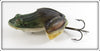 FS Burroughs Green Croaker Frog