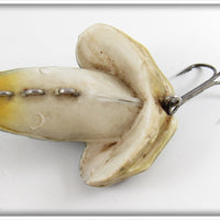 FS Burroughs Green Croaker Frog