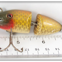 Creek Chub Golden Shiner Baby Wigglefish 2504