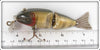 Creek Chub Perch Scale Baby Wigglefish