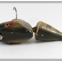 Creek Chub Perch Scale Baby Wigglefish