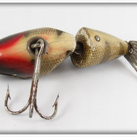 Creek Chub Perch Scale Baby Wigglefish