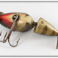 Creek Chub Perch Scale Baby Wigglefish