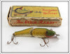 Vintage Dam Ever Ready Golden Shiner Jointed Baby Pikie Lure In Box