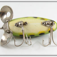 Hom Art's Frog Spot Skipper In Box