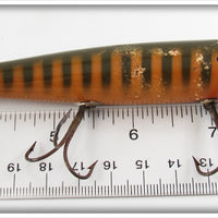 Creek Chub No Scale Perch Darter