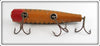 Creek Chub No Scale Perch Darter