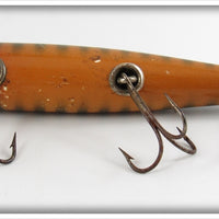 Creek Chub No Scale Perch Darter