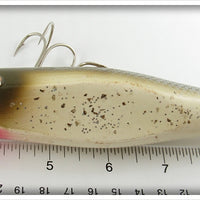 Creek Chub Silver Flash Uncatalogued Giant Injured Minnow ~