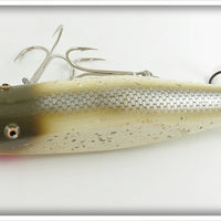 Creek Chub Silver Flash Uncatalogued Giant Injured Minnow ~