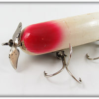 Creek Chub Silver Flash Uncatalogued Giant Injured Minnow ~