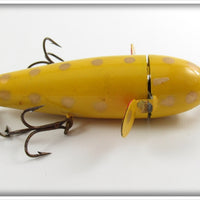 UTK Yellow Gold Spots Success Spinner In Box