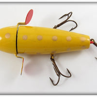 UTK Yellow Gold Spots Success Spinner In Box