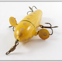 UTK Yellow Gold Spots Success Spinner In Box