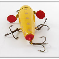 UTK Yellow Gold Spots Success Spinner In Box