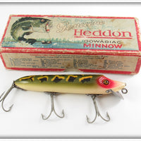 Vintage Heddon Luny Frog Vamp Lure In Box 7509BF