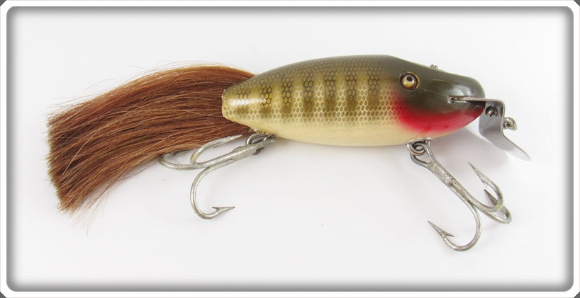 Vintage Creek Chub Pikie Scale Husky Dinger Lure 5700