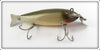 Creek Chub Silver Shiner Fintail Shiner