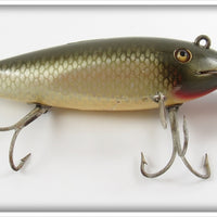 Creek Chub Silver Shiner Fintail Shiner