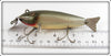 Creek Chub Silver Shiner Fintail Shiner