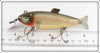 Creek Chub Silver Shiner Fintail Shiner