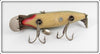 Creek Chub Silver Shiner Fintail Shiner