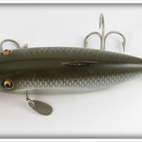 Creek Chub Silver Shiner Fintail Shiner