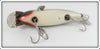 Creek Chub Silver Shiner Fintail Shiner