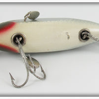 Creek Chub Silver Shiner Fintail Shiner