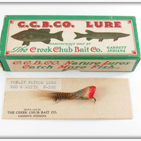 Creek Chub Red & White Chub Fly Rod Pop It Lure In Box F-100