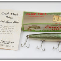 Creek Chub Mullet Darter In Box