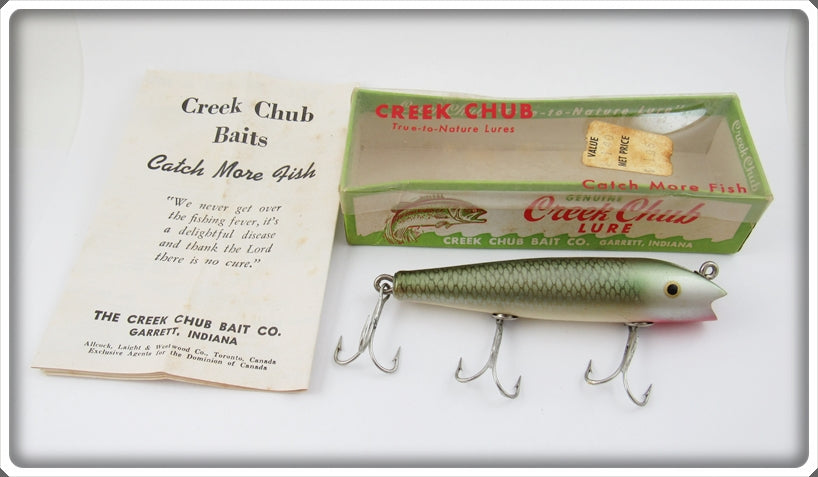 Creek Chub Mullet Darter In Box
