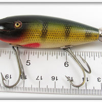 Creek Chub Perch Scale Wagtail