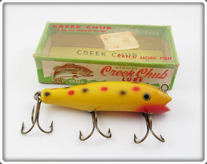 Creek Chub Yellow Spotted Concave Belly Midget Darter In Box 8014 C