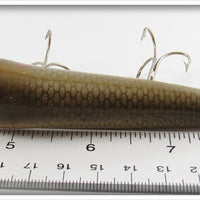 Creek Chub Black Sucker