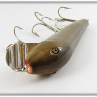 Creek Chub Black Sucker